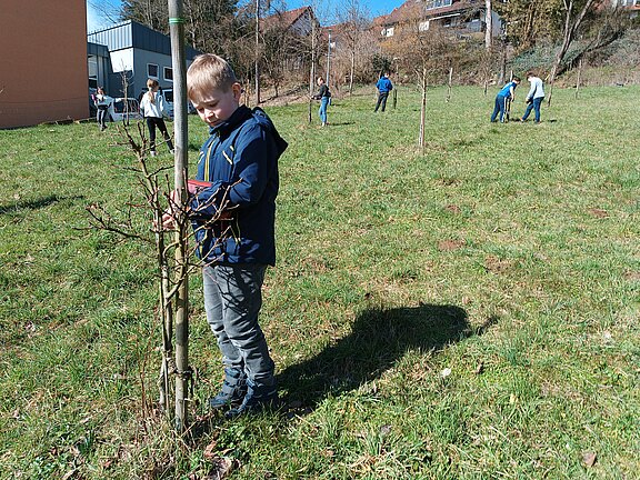 Bild_11.jpg  