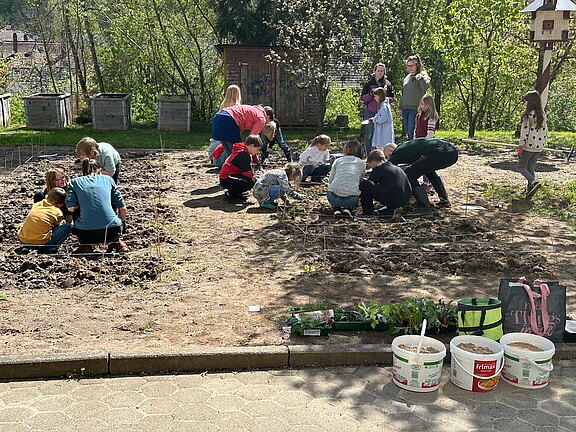 Acker_2024-04-8.JPG  