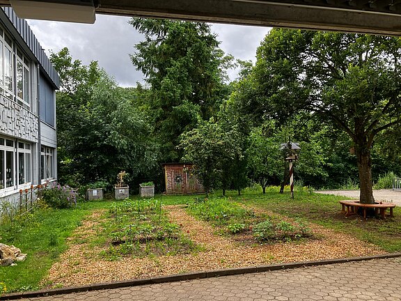 Acker_2024-07-1.jpeg  