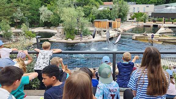 Zoo_6.jpg  