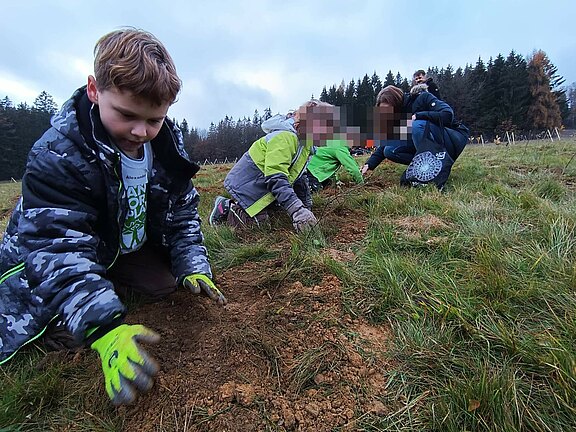 Umweltschule_in_Europa.jpg  